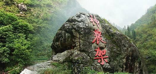 发现一个很厉害的消除脚上小泡泡皮屑的小tips,不踩雷好用